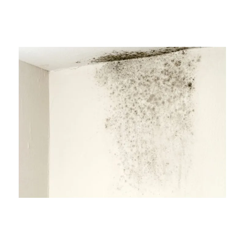 Pannelli Isolanti 100 x 50  Sistema Cappotto Polistirolo Espanso Bianco