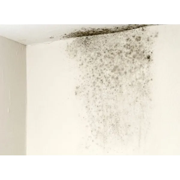 Pannelli Isolanti 100 x 50  Sistema Cappotto Polistirolo Espanso Bianco