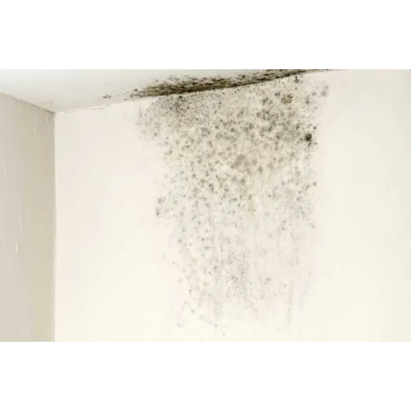 Sughero Supercompresso a vista in Pannelli sottili spessore 5 millimetri